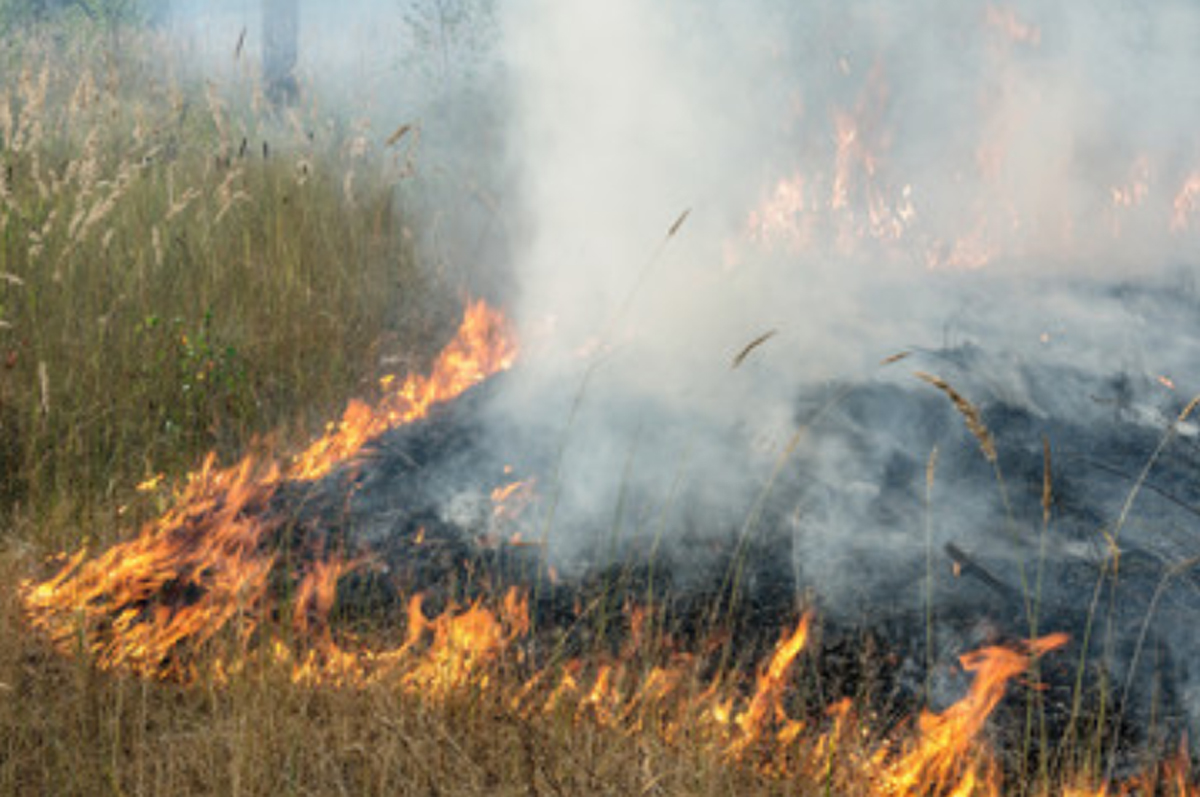 No further Controlled Burning