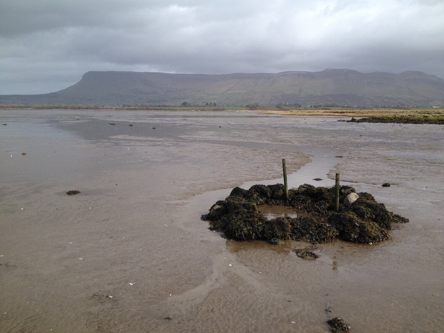 StColmcillesWell
