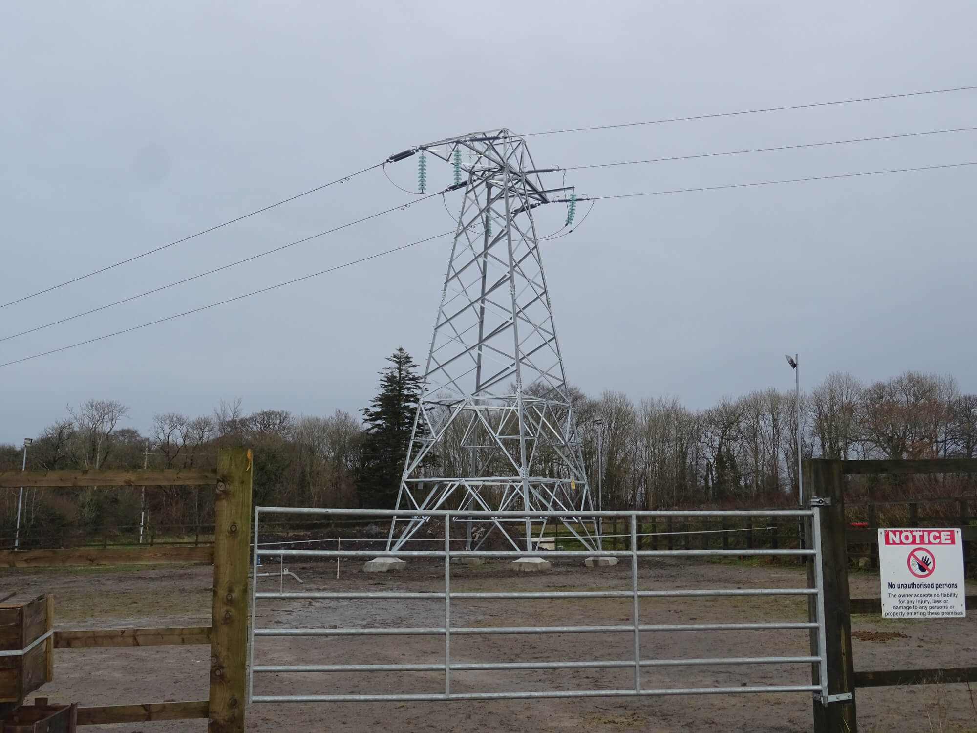 Pylon construction 